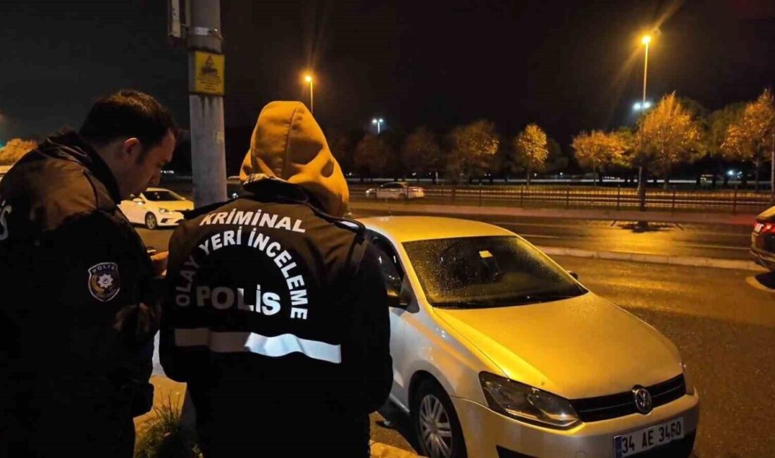 Pendik sahilinin karşısında bulunan bir parkta devriye görevini sürdüren polis
