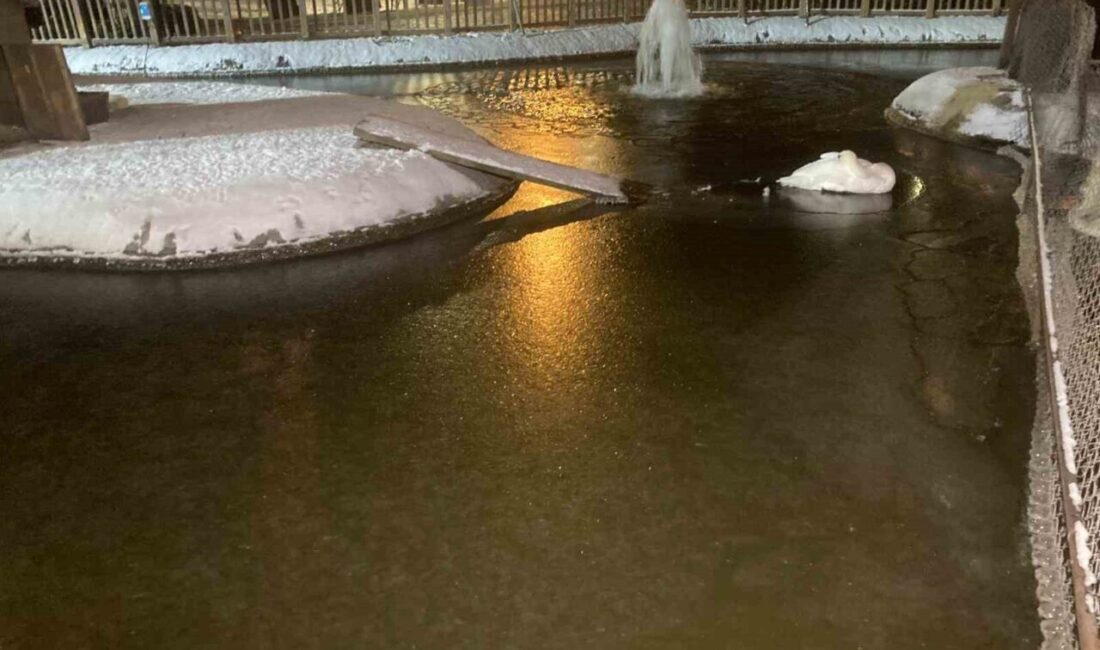 Ankara’da kar yağışının ardından hava sıcaklığı eksi 11 dereceye kadar