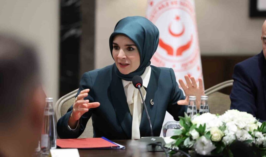 Aile ve Sosyal Hizmetler Bakanı Mahinur Özdemir Göktaş, “Sosyal risk