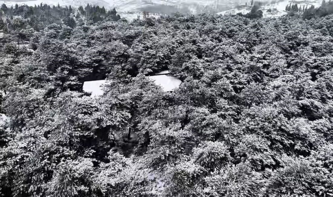 İstanbul etkili olan kar yağışıyla Başakşehir’de bulunan Şamlar Tabikat Parkı