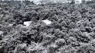 İstanbul etkili olan kar yağışıyla Başakşehir’de bulunan Şamlar Tabikat Parkı