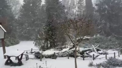 İstanbul’un Sarıyer ilçesinde etkisini artıran kar yağışı yüksek kesimleri beyaza