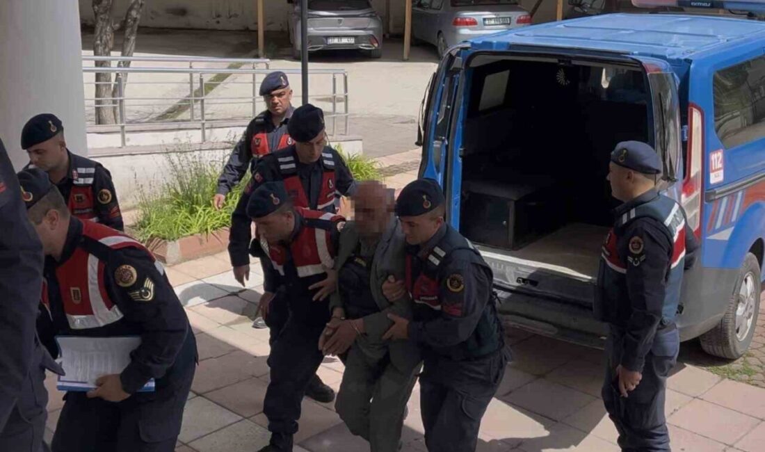 Kastamonu’nun Taşköprü ilçesinde husumetli olduğu karı-kocayı vuran sanık, “Elini beline