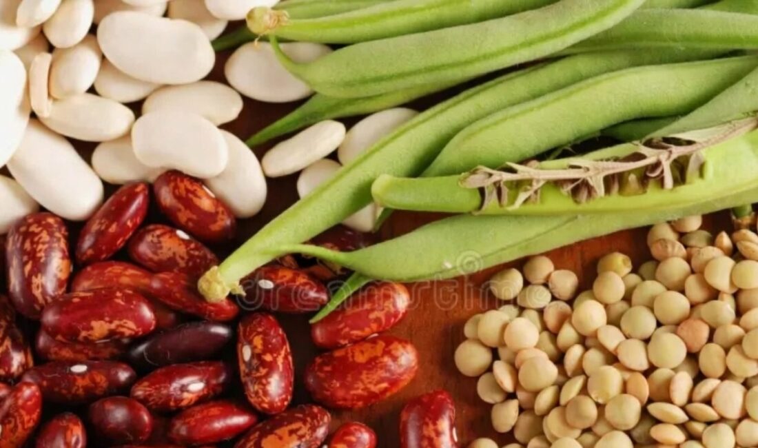 10 Şubat 2026 tarihinde Türkiye, diplomasi ve spor gündemlerinden kısa