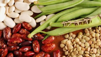 10 Şubat 2026 tarihinde Türkiye, diplomasi ve spor gündemlerinden kısa