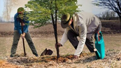 5 Şubat 2026 tarihinde Türkiye, diplomasi ve spor gündemlerinden kısa