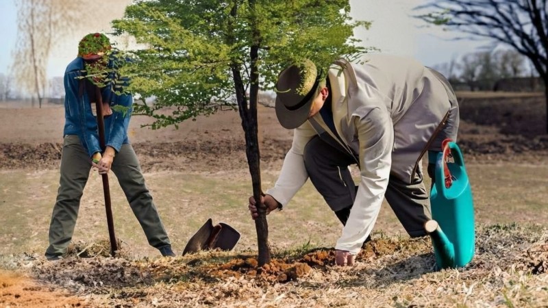 5 Şubat 2026 tarihinde Türkiye, diplomasi ve spor gündemlerinden kısa