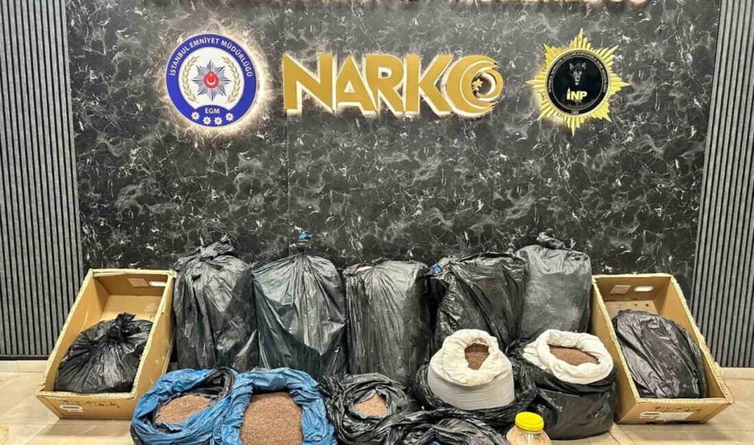 İstanbul’un üç ayrı ilçesinde 3 eve ve bir depoya düzenlenen