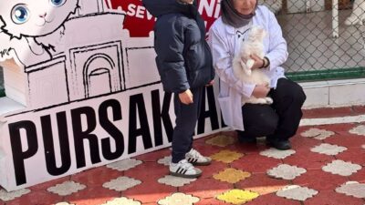 Pursaklar Belediyesi’ne bağlı Ankara Kedisi Koruma, Yaşatma ve Tanıtım Merkezi’ne
