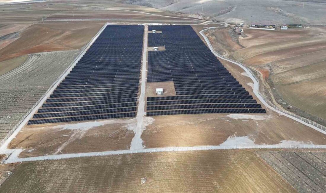 Yarım asrı aşan üretim geçmişiyle Türkiye’nin gıda, tarım ve biyoendüstri