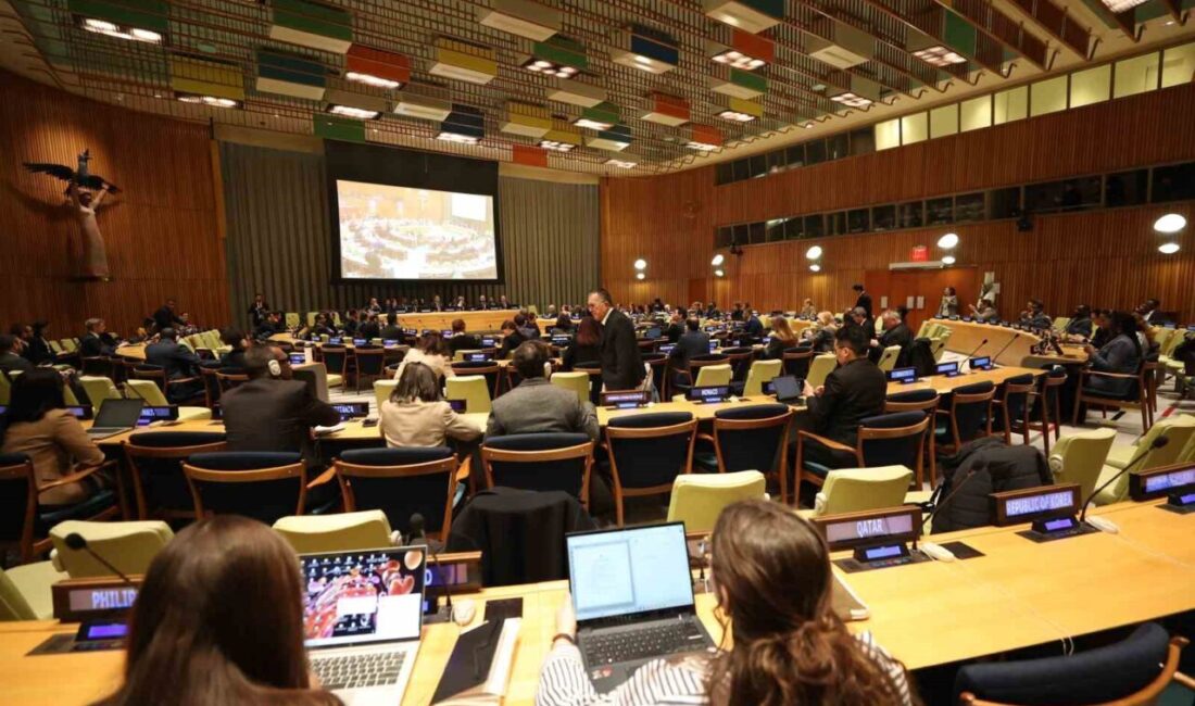 Çevre, Şehircilik ve İklim Değişikliği Bakanı Murat Kurum, Birleşmiş Milletler