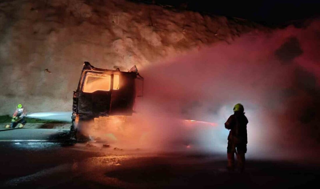 İstanbul-İzmir Otoyolu İstanbul istikameti Naipli mevkiinde gece yarısı meydana gelen