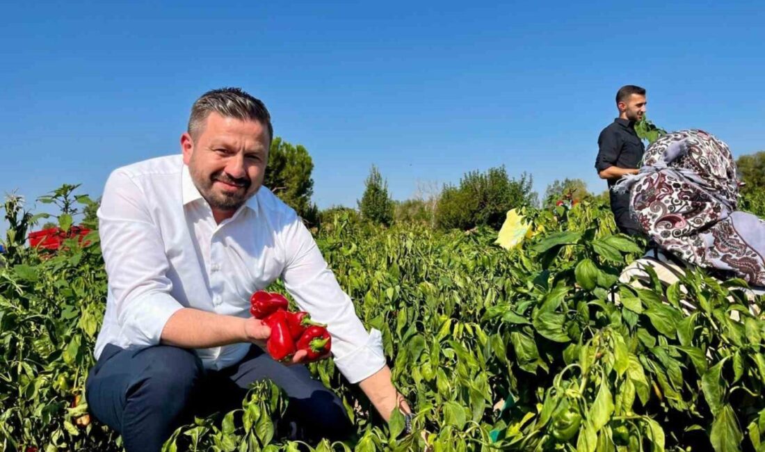 Balıkesir tarımı için beklenen müjde AK Parti Balıkesir İl Başkanı