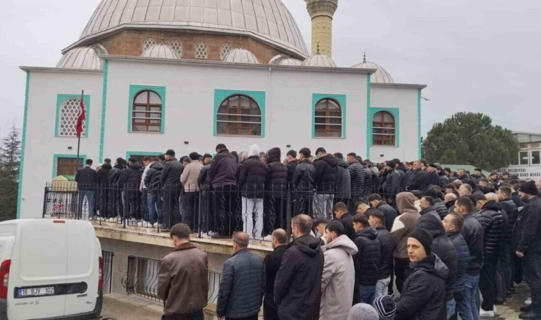 Bursa’da kontrolden çıkan otomobilin reklam panosuna çarptığı kazada hayatını kaybeden