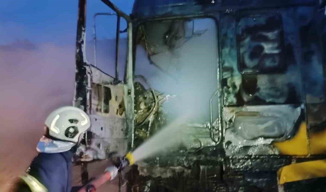 Kastamonu’nun Tosya ilçesinde seyir halindeki tırda yangın çıktı. Yangın, tırın