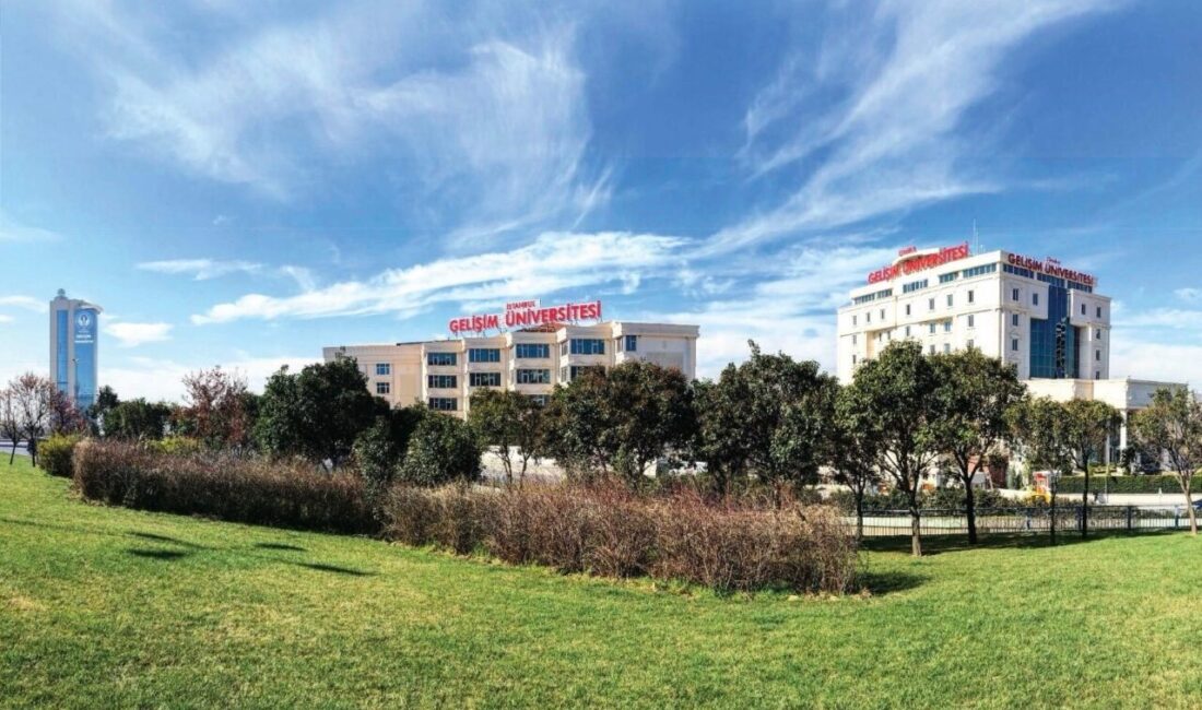 Scopus veri tabanına dayalı olarak üniversiteleri araştırma performansı, yenilikçilik ve