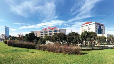 Scopus veri tabanına dayalı olarak üniversiteleri araştırma performansı, yenilikçilik ve