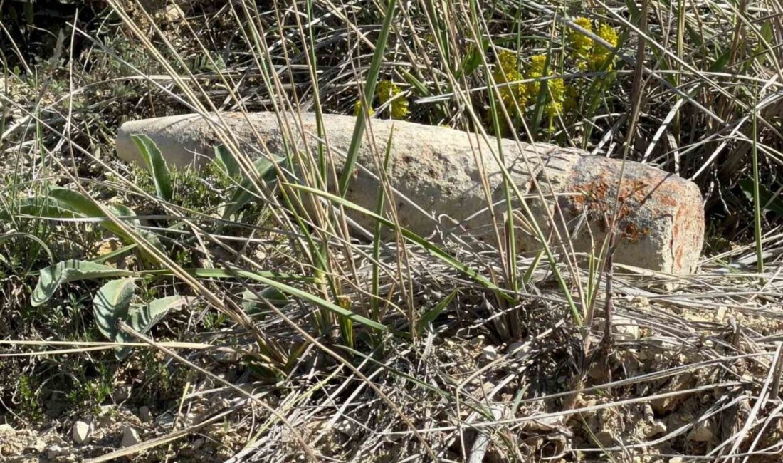 Ankara’da bir vatandaş, arazide mantar ararken top mermisi buldu. Top