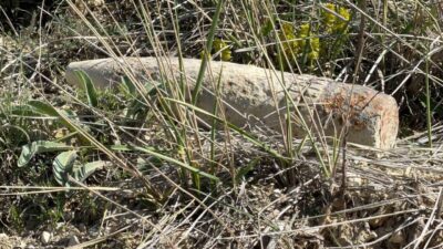 Ankara’da bir vatandaş, arazide mantar ararken top mermisi buldu. Top