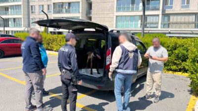 Avcılar’da, boş bir arazide köpeğe kötü muamelede bulunan şahsın görüntüleri