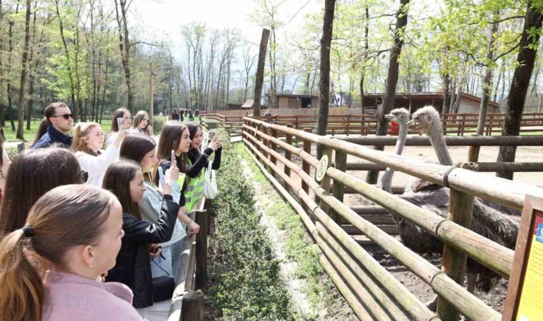 Kocaeli’ye gelen Batı Trakyalı öğrenciler; Ormanya, Kartepe Teleferiği ve Cam
