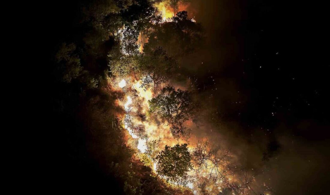 İstanbul’un Beykoz ilçesinde ormanlık alanda çıkan yangın, ekiplerin yoğun müdahalesi