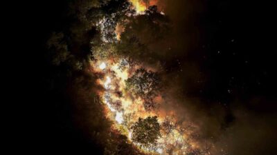 İstanbul’un Beykoz ilçesinde ormanlık alanda çıkan yangın, ekiplerin yoğun müdahalesi