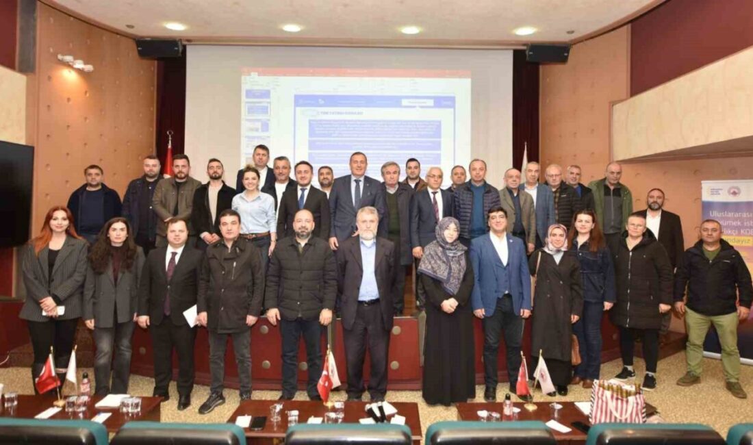 Yerel Kalkınma Hamlesi Teşvik Programı kapsamında Trabzon’da desteklenen sektörler, başvuru