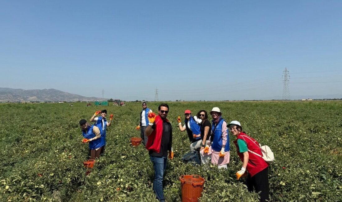 Gençlik ve Spor Bakanlığı tarafından uygulanan Gönüllü Hasat Etkinliği’nin 2026