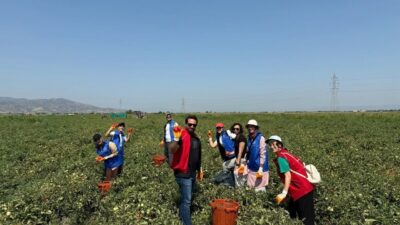 Gençlik ve Spor Bakanlığı tarafından uygulanan Gönüllü Hasat Etkinliği’nin 2026