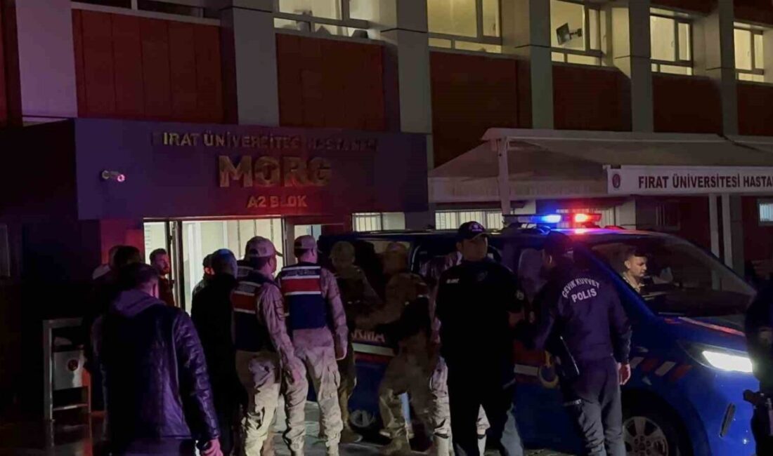 Gülistan Doku soruşturması kapsamında tutuklanan dönemin Tunceli Devlet Hastanesi Başhekimi