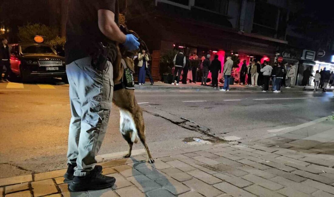 İstanbul’daki uyuşturucu ve fuhuş soruşturması kapsamında 2 eğlence mekanında daha