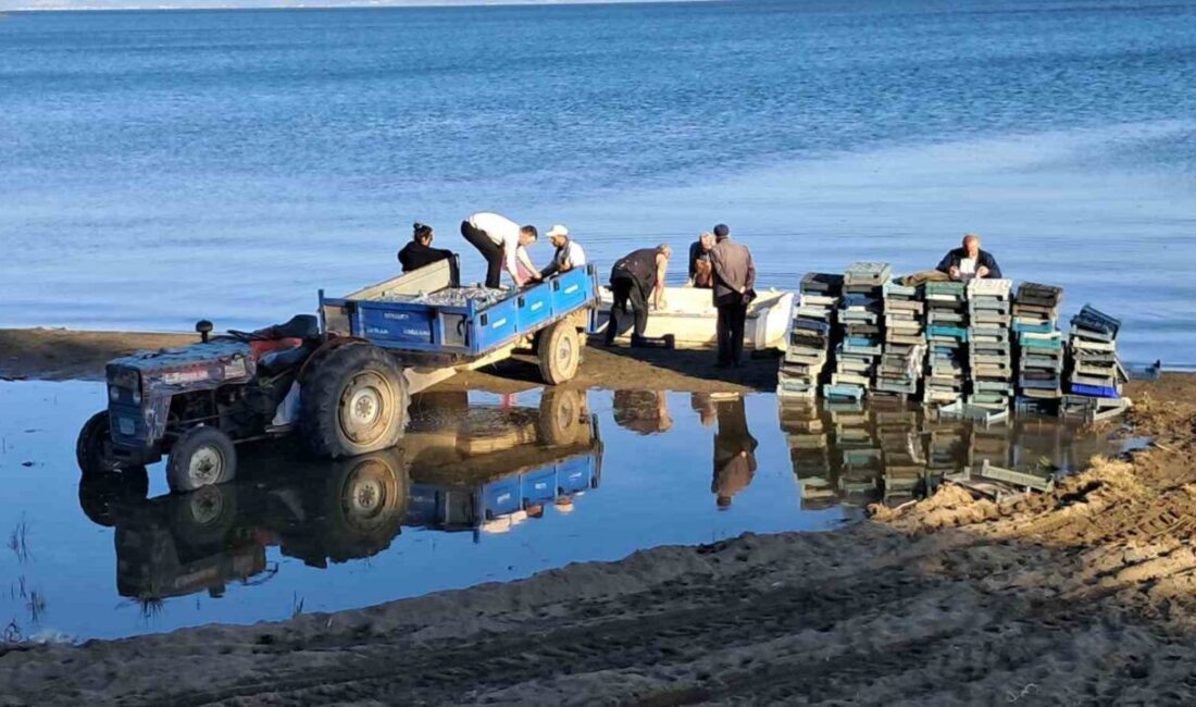 Türkiye’nin en büyük 5.gölü olan İznik Gölü’nde gümüş balığı sezonu