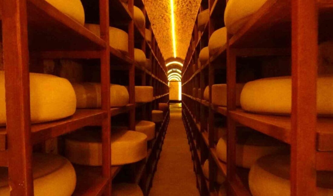 Türkiye’nin ilk ve tek tematik peynir müzesi olma özelliğini taşıyan