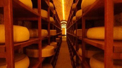 Türkiye’nin ilk ve tek tematik peynir müzesi olma özelliğini taşıyan