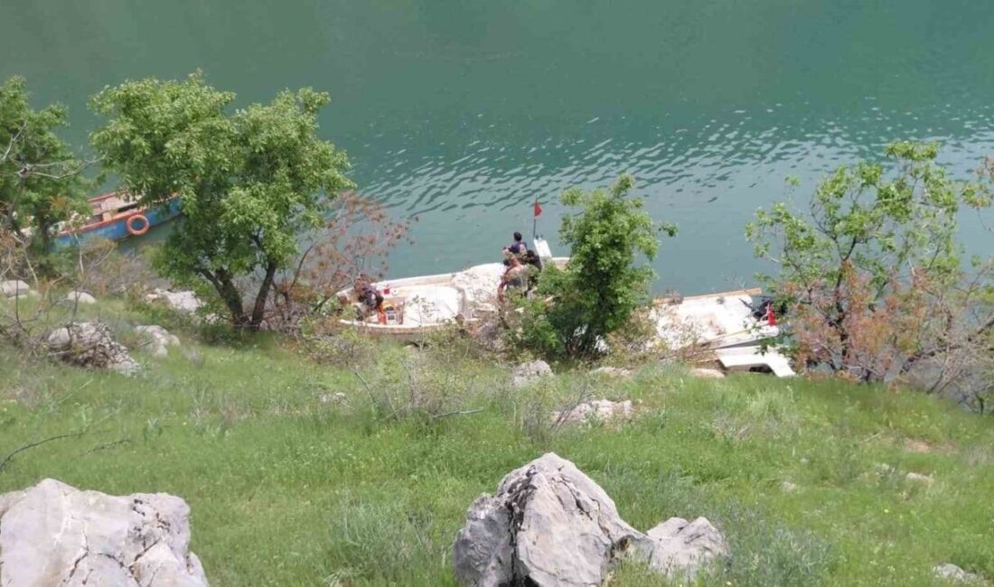 Diyarbakır’ın Çüngüş ilçesinde ailesiyle pikniğe gelen şahıs, unuttuğu eşyasını ger