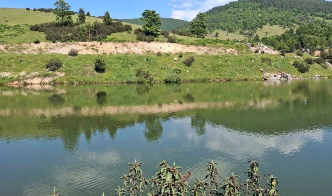 Bursa’da arkadaşlarıyla birlikte sulama göletine giren çocuğun cansız bedenine ulaşıldı.