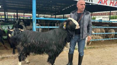 Kurban Bayramı arifesinde hareketliliğin zirve yaptığı Yıldırım ilçesindeki İsabey Kurban