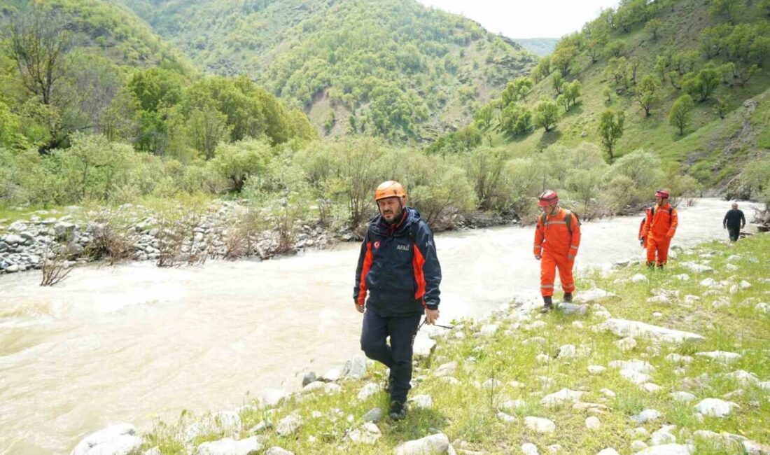 Muş’un Cevizlidere köyünde çaya düşerek kaybolan Gülsima Yıldız’ı arama çalışmaları,