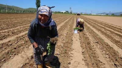 1 Mayıs İşçi Bayramı ülke genelinde düzenlenen çeşitli etkinliklerle kutlanırken,