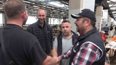 Bursa’da Kurban Bayramı öncesi hareketliliğin arttığı hayvan pazarlarında, Kaçakçılık ve