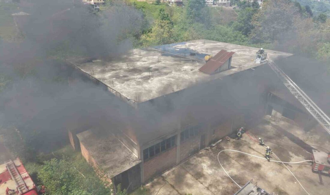 Trabzon’un Of ilçesine bağlı Bölümlü Mahallesi’nde bulunan eski ve kullanılmayan