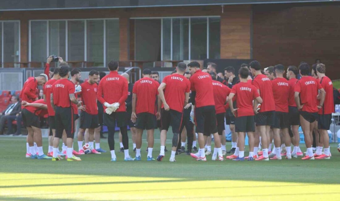 A Milli Futbol Takımı, 2026 FIFA Dünya Kupası D Grubu’nda