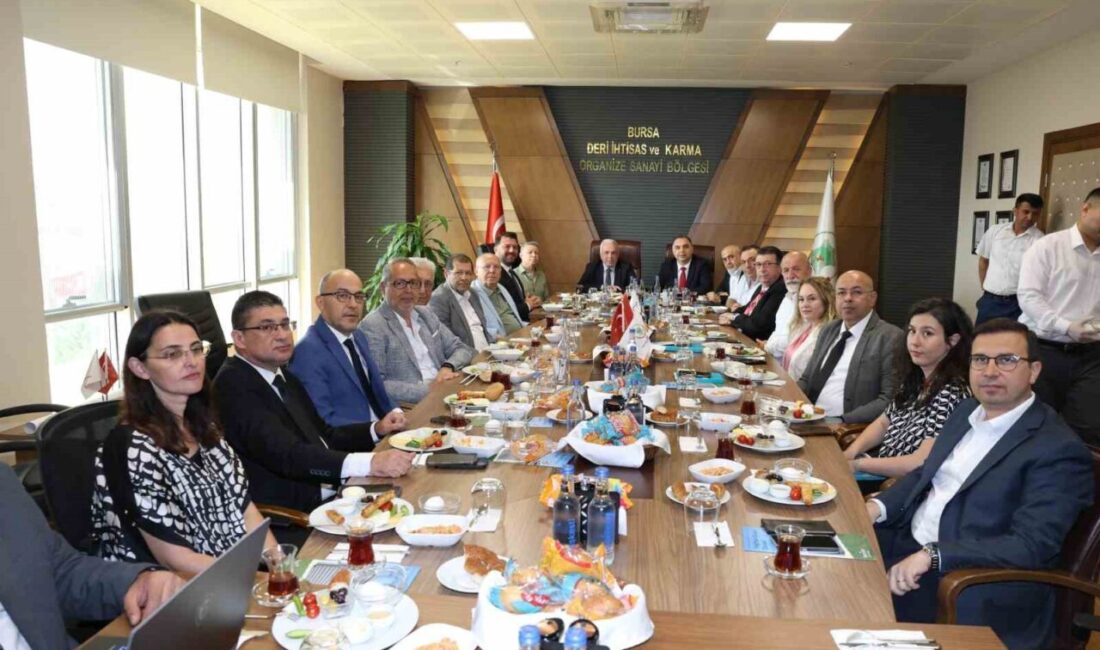 Nilüfer Belediye Başkanı Şadi Özdemir, Deri İhtisas ve Karma Organize