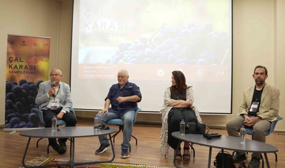 Çal Bağ Yolu tarafından, Çal Kaymakamlığı ve Denizli Büyükşehir Belediyesi