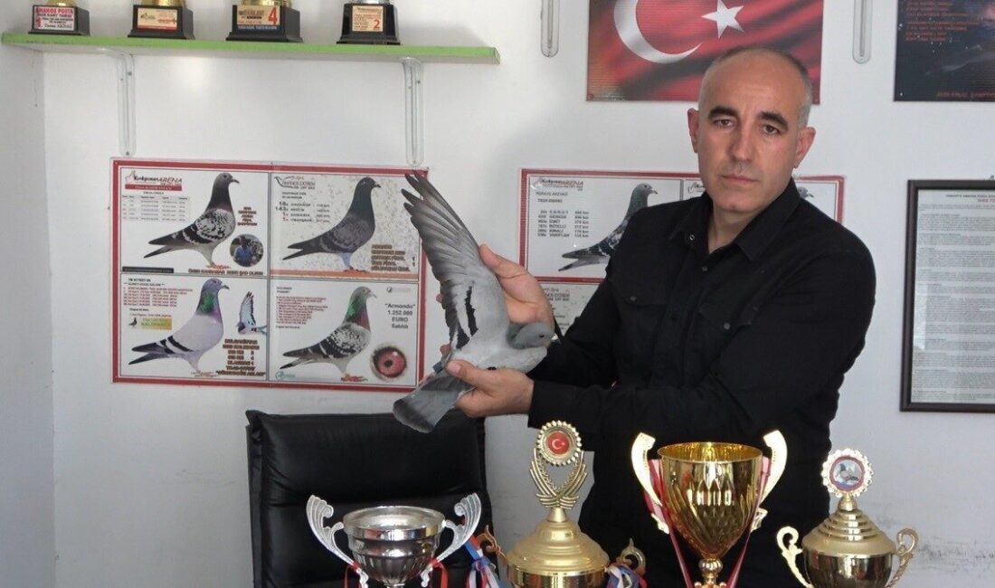 Osmaniye Amanos Posta Güvercini Sevenler Derneği’nin 2026 yılı son yarışı