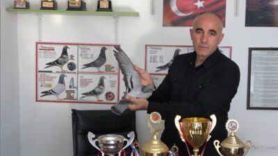 Osmaniye Amanos Posta Güvercini Sevenler Derneği’nin 2026 yılı son yarışı