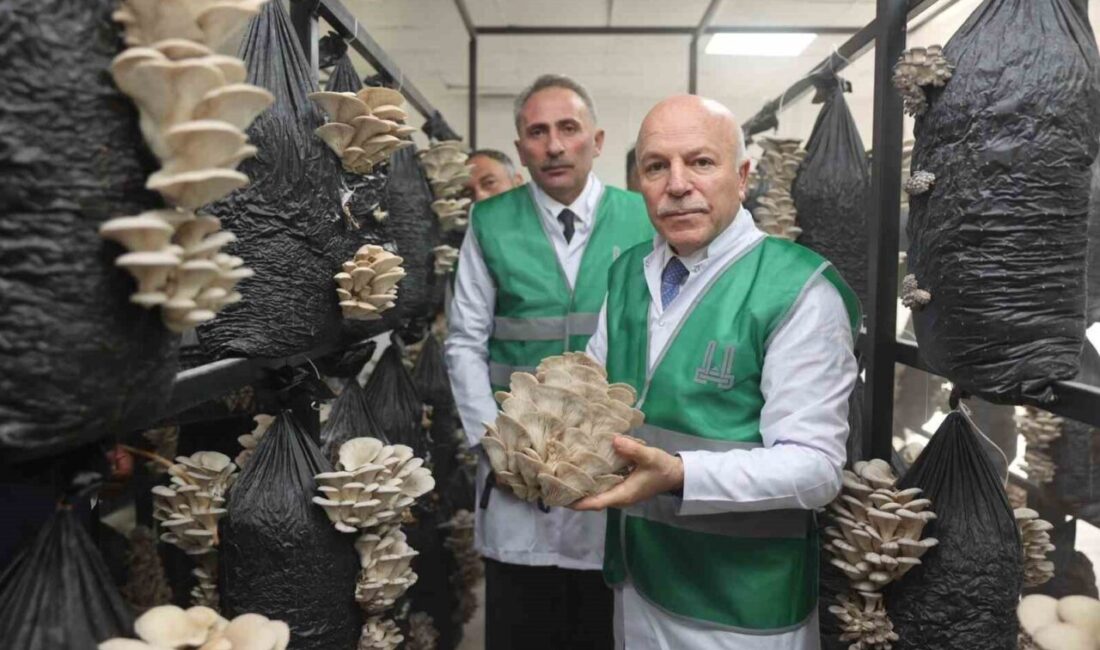 Erzurum Büyükşehir Belediyesi Başkanı Mehmet Sekmen, “Birlikte üreteceğiz, birlikte kazanacağız,