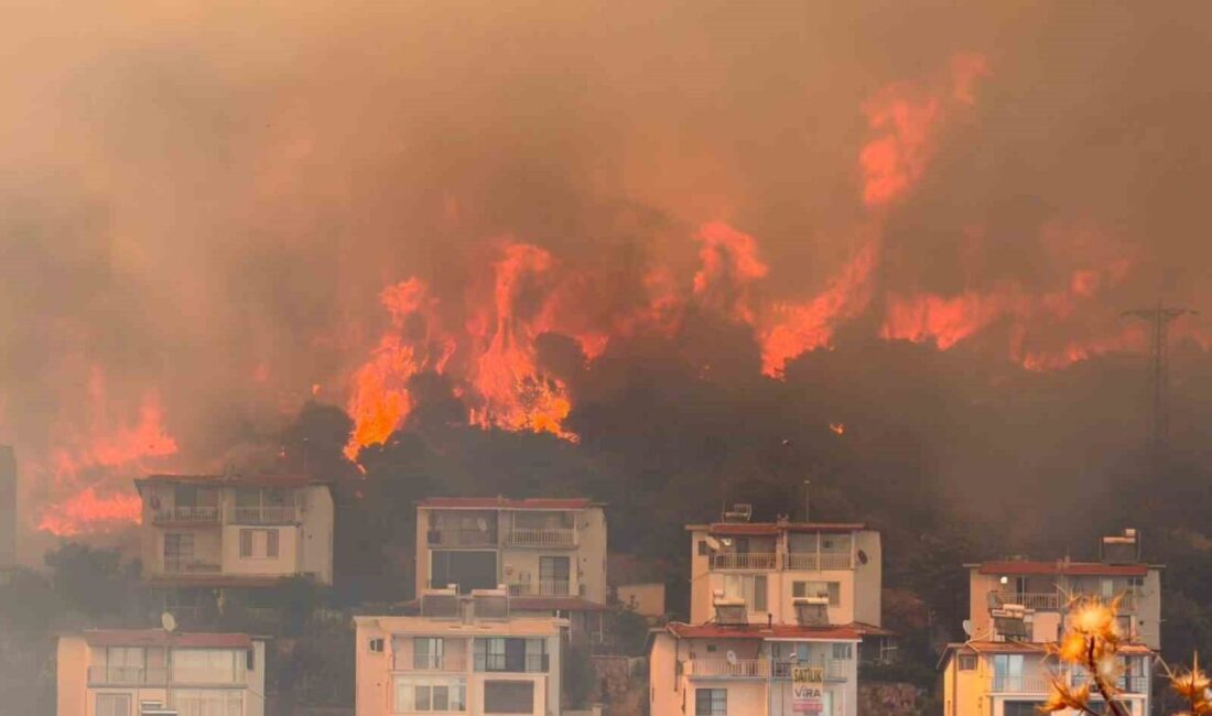 İzmir’in Dikili ilçesinde tarım alanında çıkan ve ormanlık alana sıçrayan