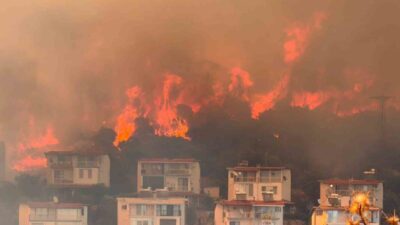 İzmir’in Dikili ilçesinde tarım alanında çıkan ve ormanlık alana sıçrayan